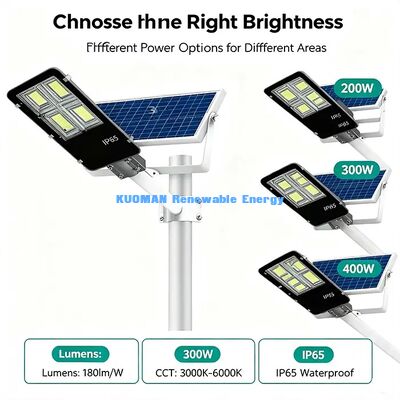 Wind Rain Snow Resistant IP65 Solar Street Light Harsh Climate Outdoor Lamp