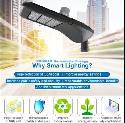 تركيبات إنارة الشوارع الذكية متعددة السلاسل بتقنية LED، تحكم إنترنت الأشياء بتقنية LoRa، إضاءة بلدية قابلة للتخصيص
